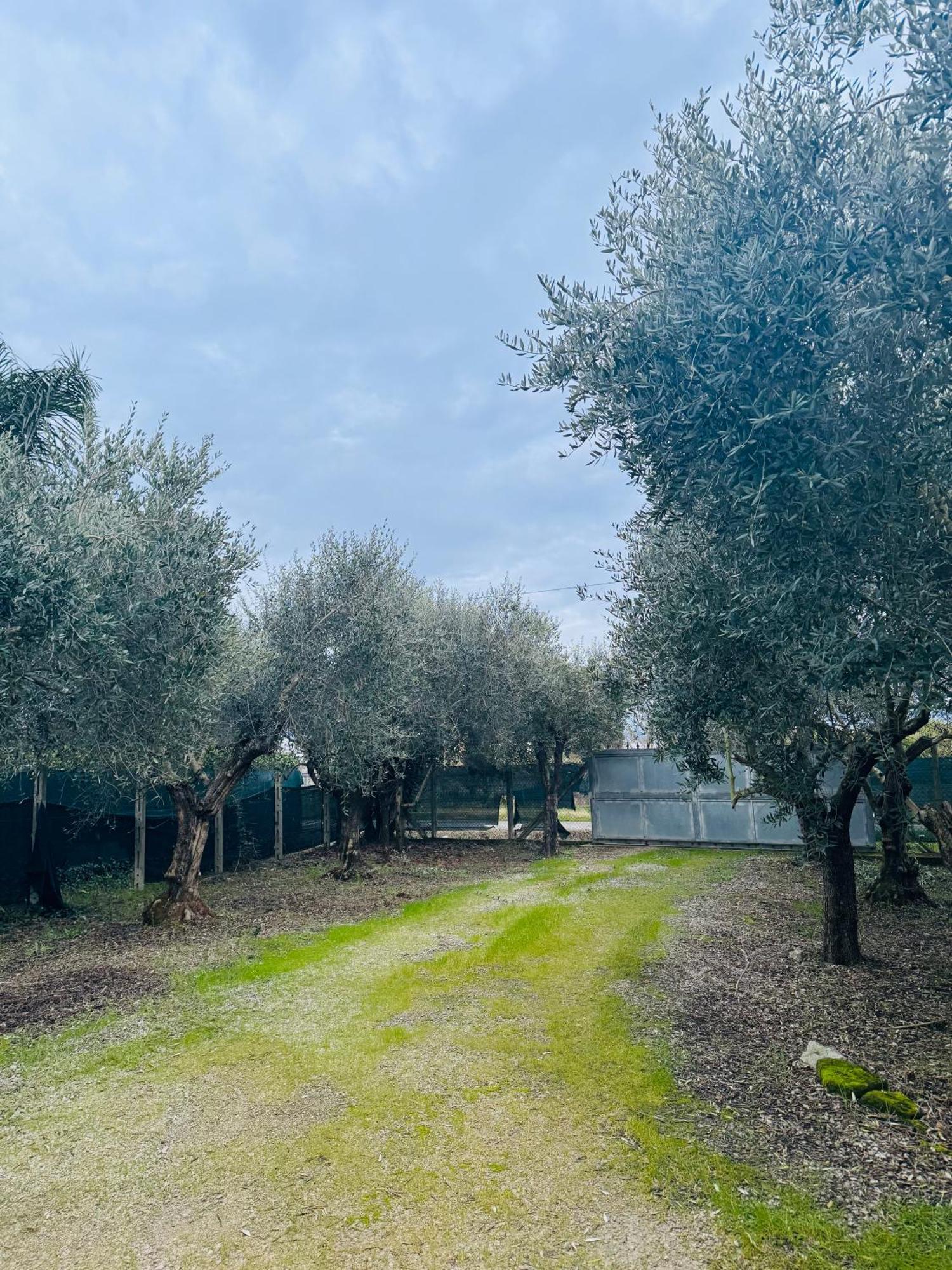 La Perla Di Dea Villa Lido Di Fondi Exteriör bild