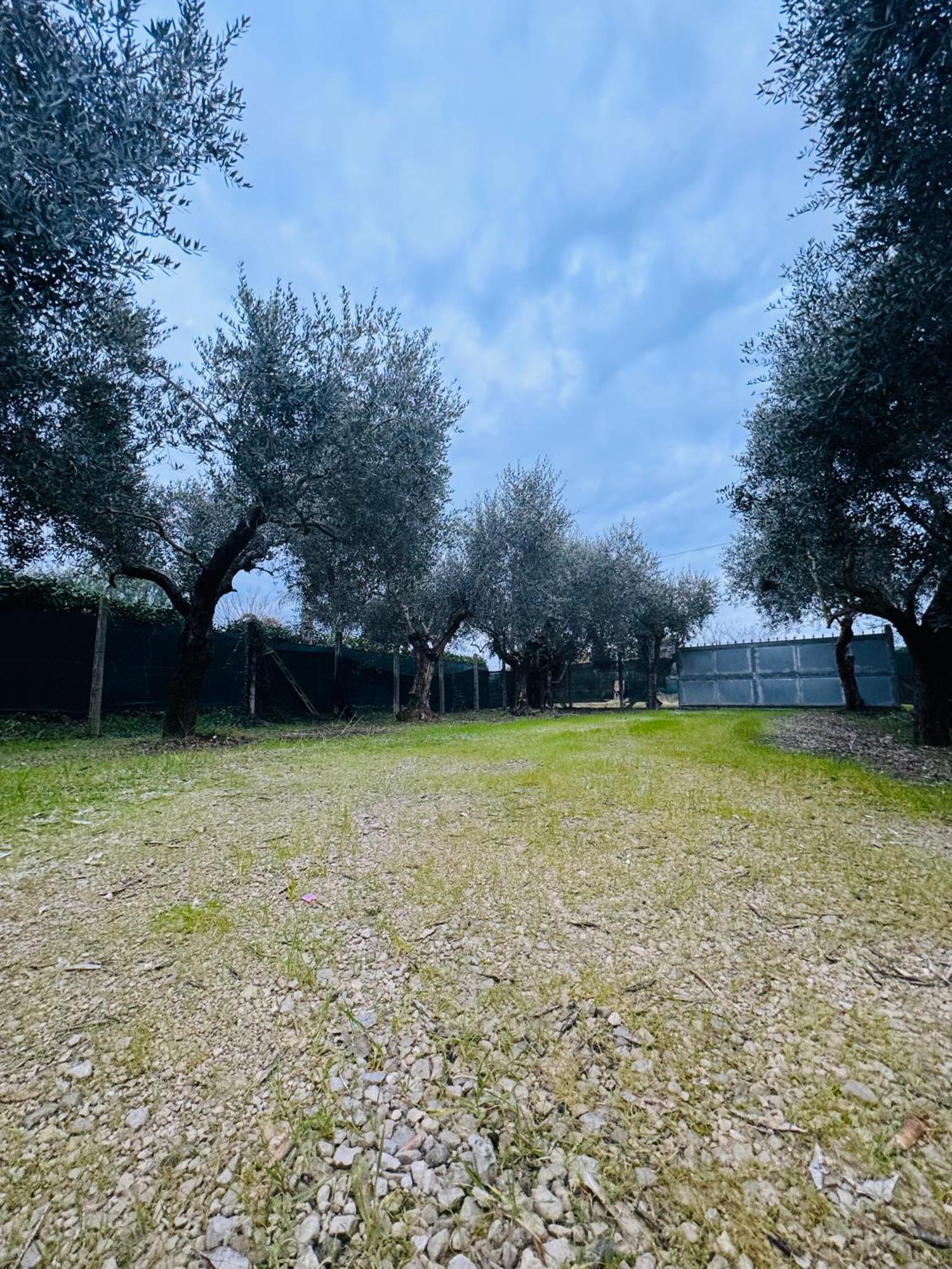 La Perla Di Dea Villa Lido Di Fondi Exteriör bild